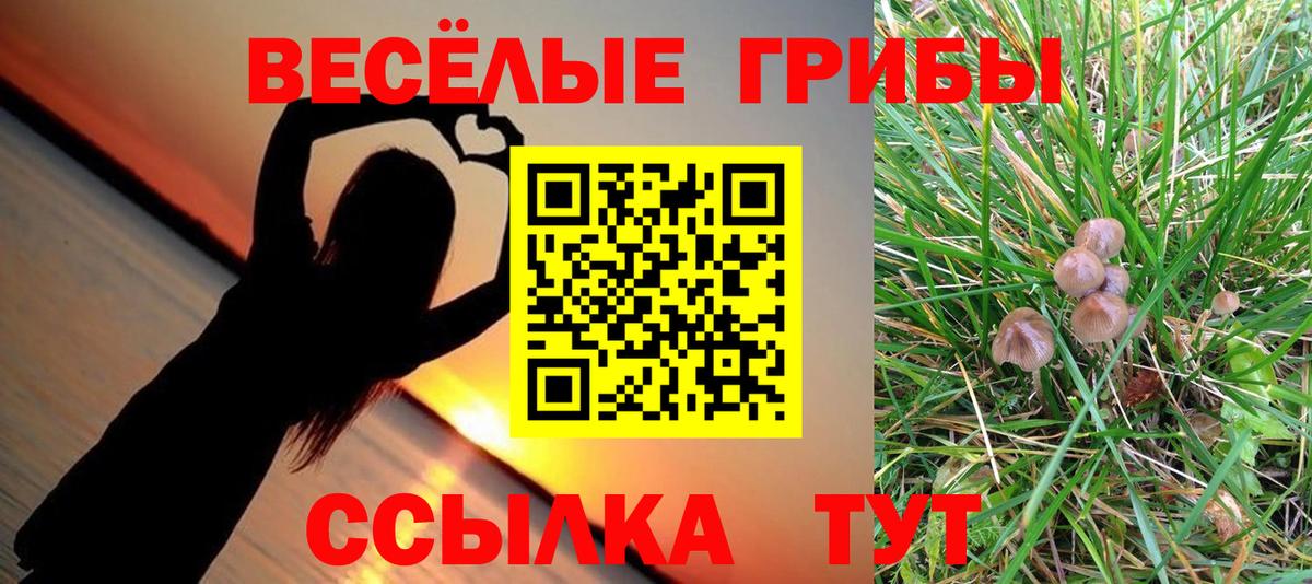Псилоцибиновые грибы Psilocybe Сертолово